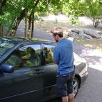 auto lockout